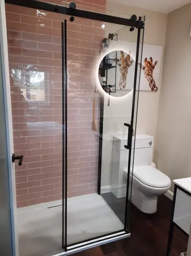 Shower enclosure and bathroom surfaces